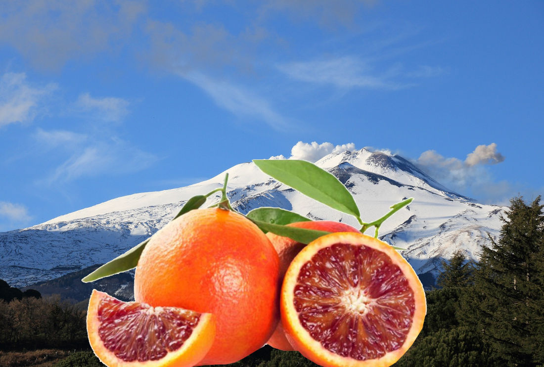 Sicilian blood orange